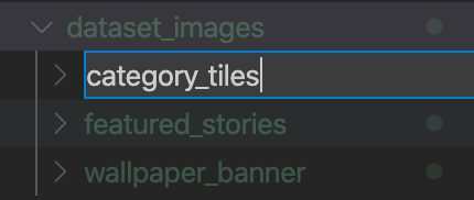 Adding a category_tiles subdirectory to the dataset images directory