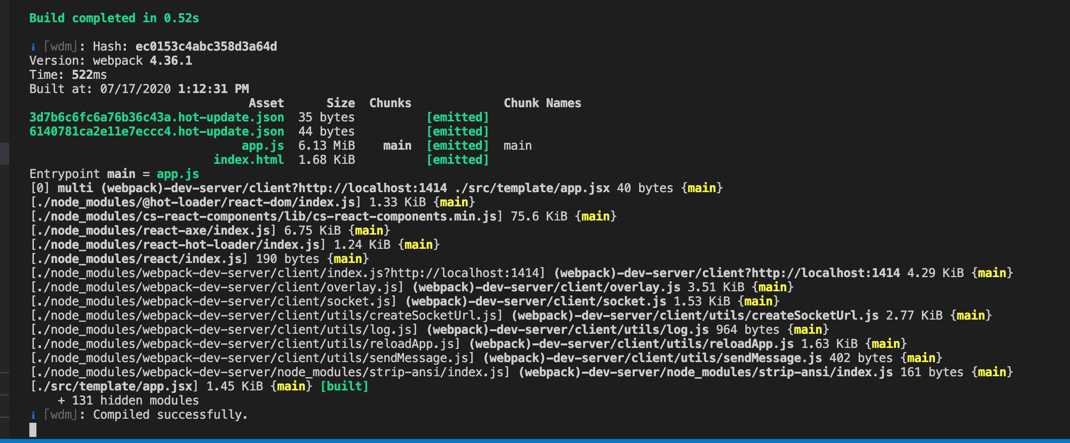 npm start in terminal