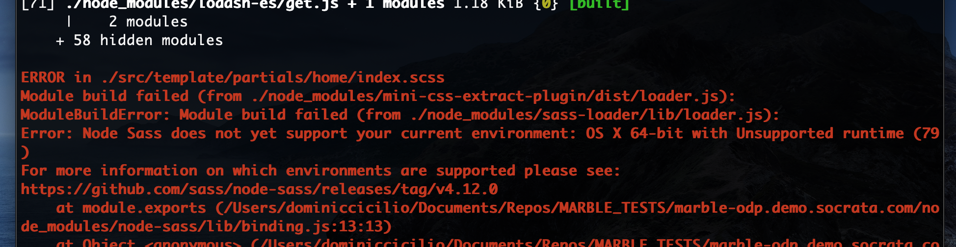 node-sass error